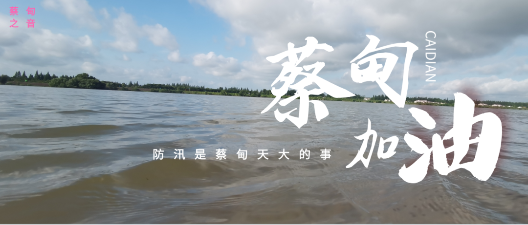 蔡甸區(qū)啟動(dòng)防汛ⅰ級(jí)應(yīng)急響應(yīng)，做好鋪土釘防汛木樁工作
