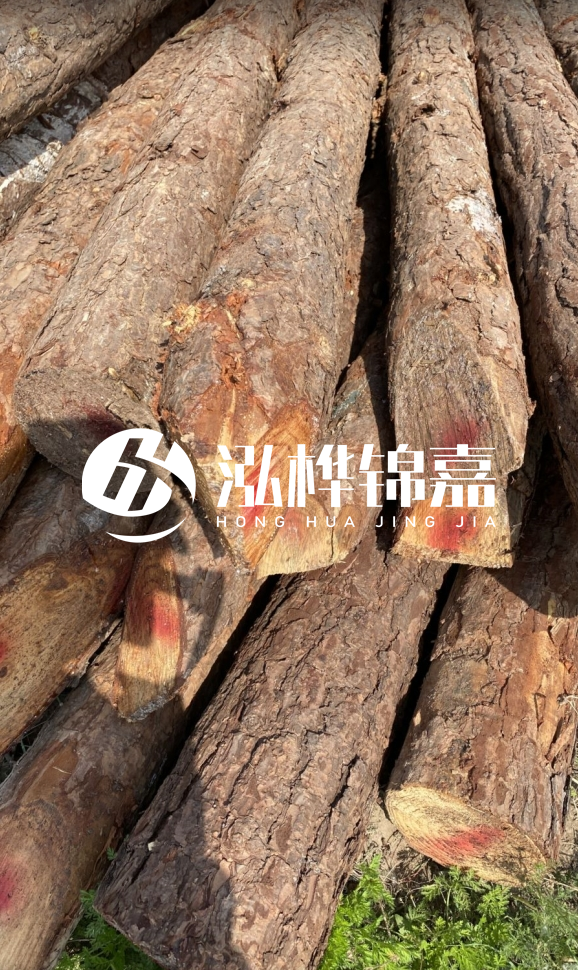 <strong>松木樁和杉木樁的用途區(qū)別？哪個(gè)更適合打樁用？</strong>