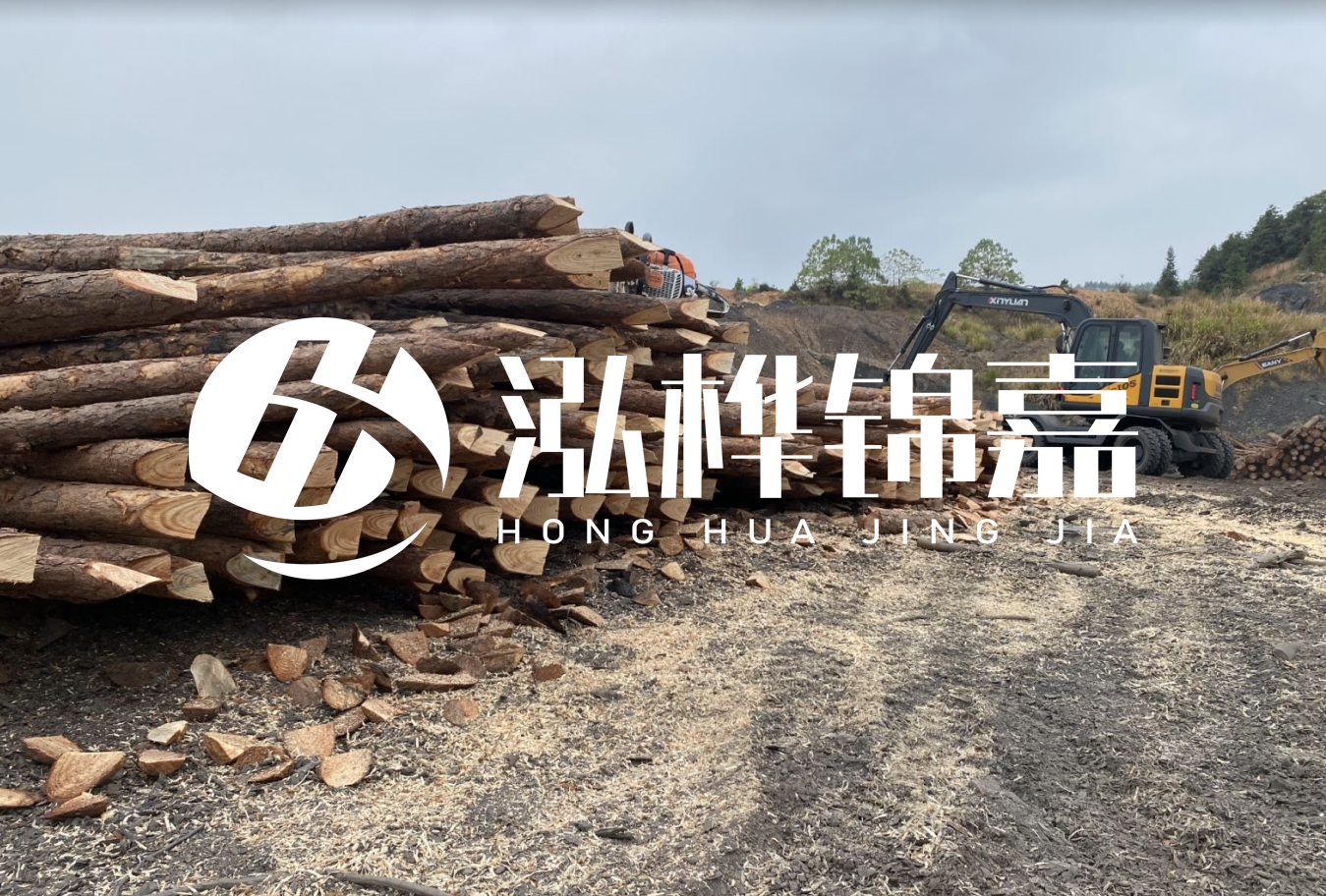 松木樁尾徑是什么意思？