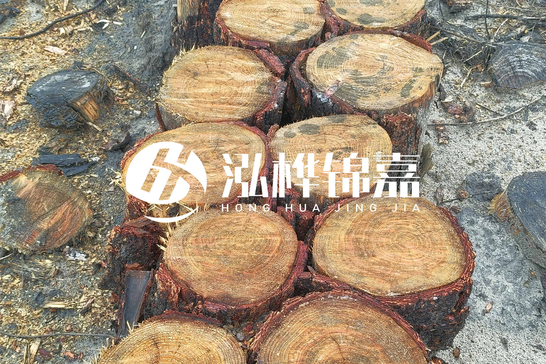 浙江臺(tái)州有清淤的公司嗎？浙江臺(tái)州有清淤施工隊(duì)嗎？