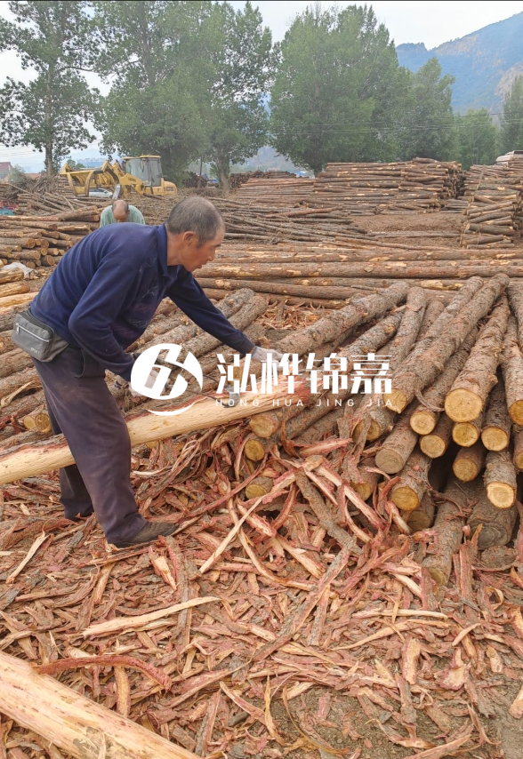 東營河道清淤專業(yè)施工隊(duì)-不同型號(hào)挖機(jī)清淤能力對(duì)比？
