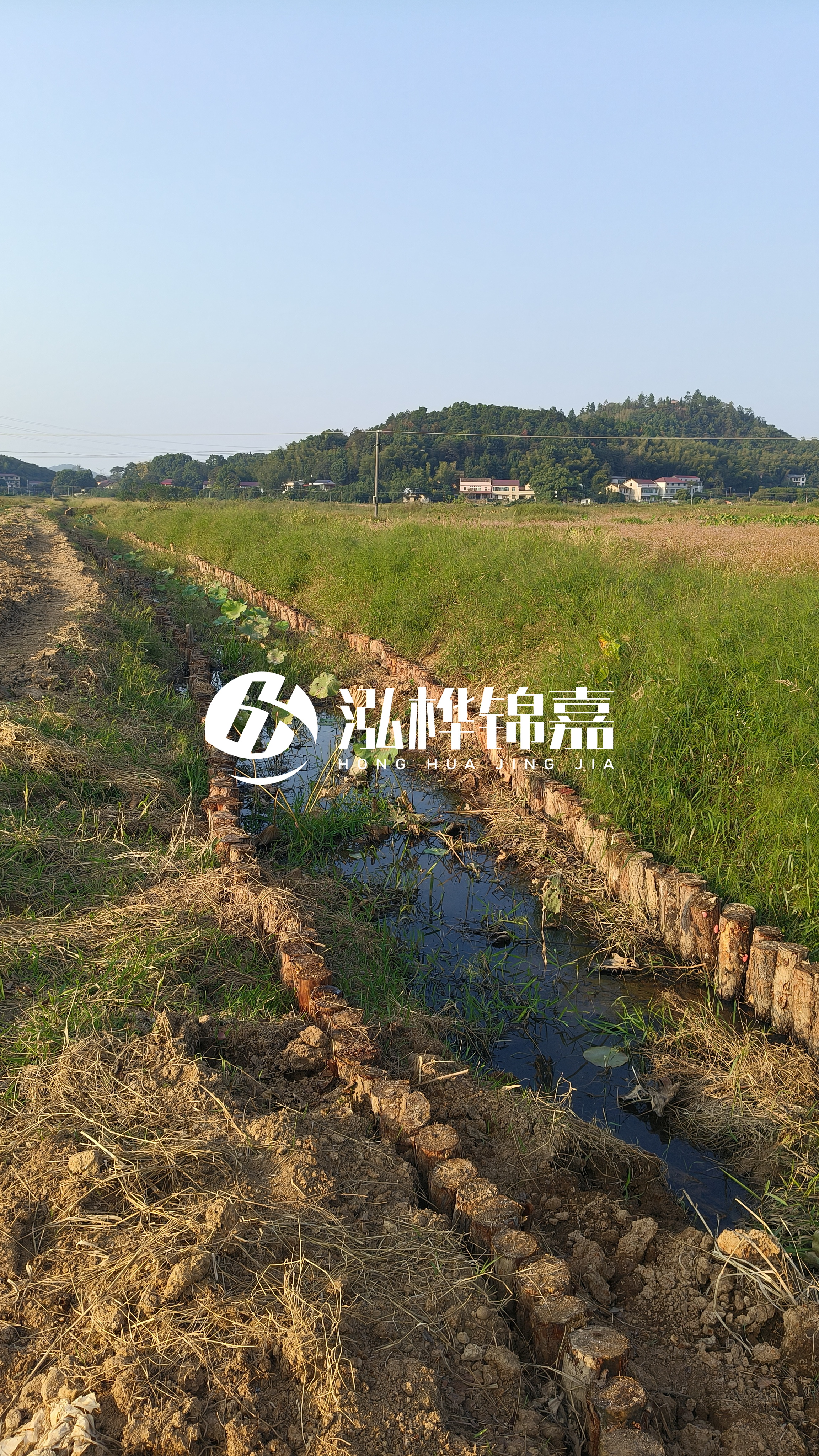 河道護坡打木樁的目的全解析：你知道幾個？