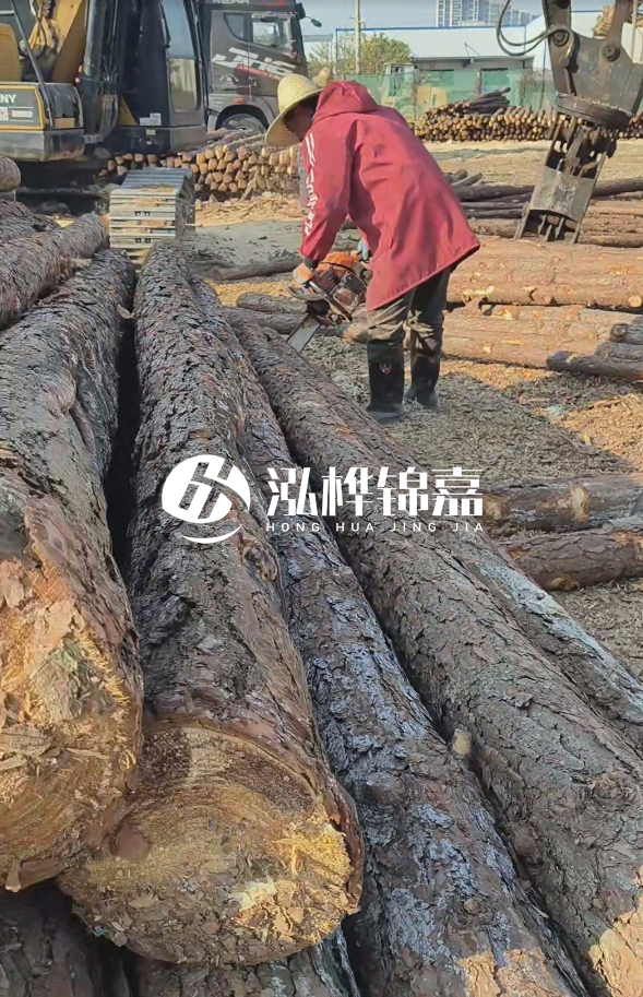 長(zhǎng)沙打樁木批發(fā)廠家在哪里？聯(lián)系方式是什么？