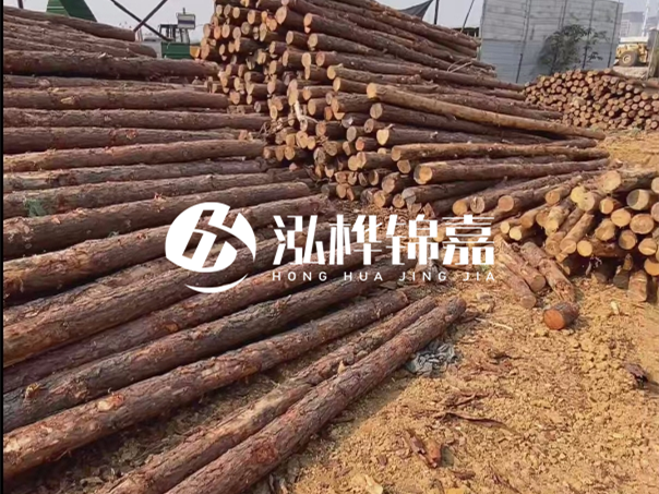 河道木樁施工遇到淤泥怎么辦？打多深才能防沖刷？