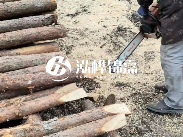 杉木樁批發(fā)廠家哪家好？產(chǎn)地直供渠道推薦！