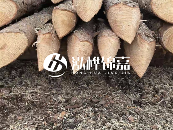 打樁木樁與鋼樁相比有哪些優(yōu)缺點(diǎn)？如何進(jìn)行后期維護(hù)？