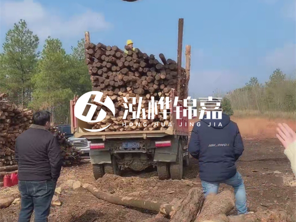 松木樁價(jià)格是按米算還是按根算？6米松木樁批發(fā)價(jià)每根多少錢(qián)？
