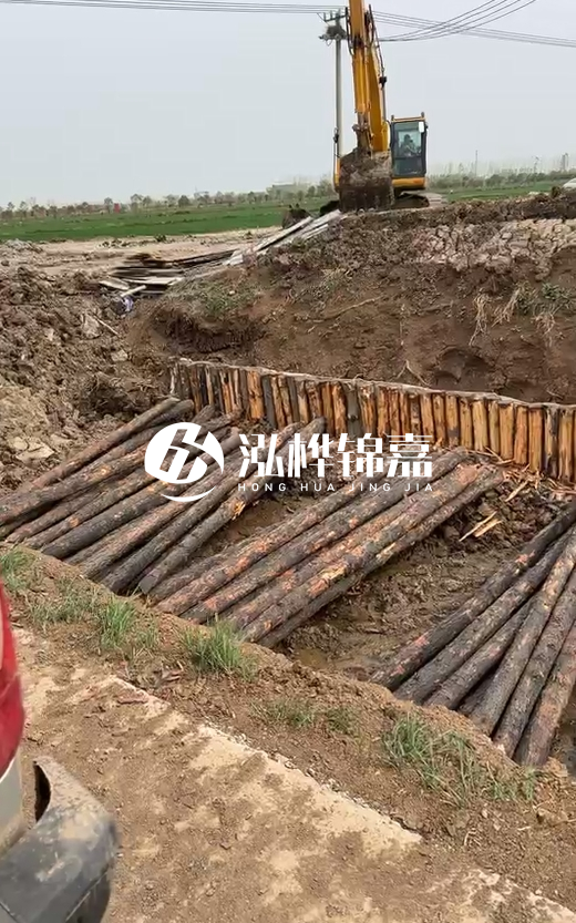 4米直徑12-13油松批發(fā)價最低多少？報價含稅含運嗎？