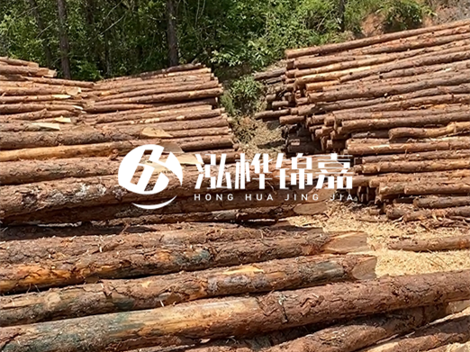 松木樁的運(yùn)輸費(fèi)用是否包含卸車費(fèi)？卸貨時需要注意哪些安全問題？