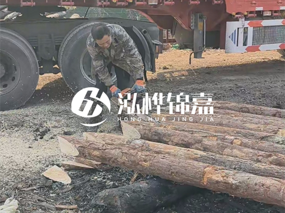 松木圓木價格大概多少一方-松木樁廠家按方可以賣嗎？