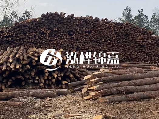 地基打木樁用什么木材 - 地基打木樁的能撐幾年？