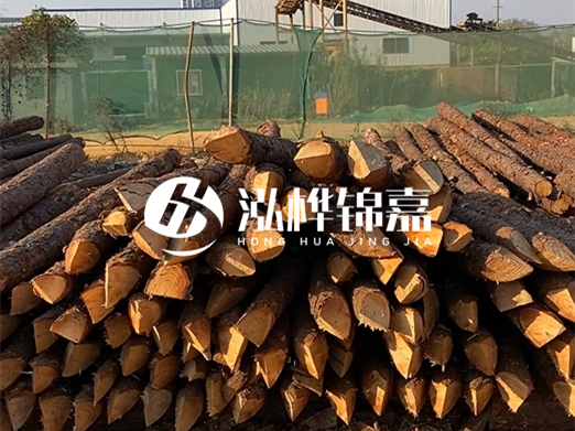 松木樁6米15cm打樁多少錢一根-專業(yè)打木樁隊聯(lián)系電話？