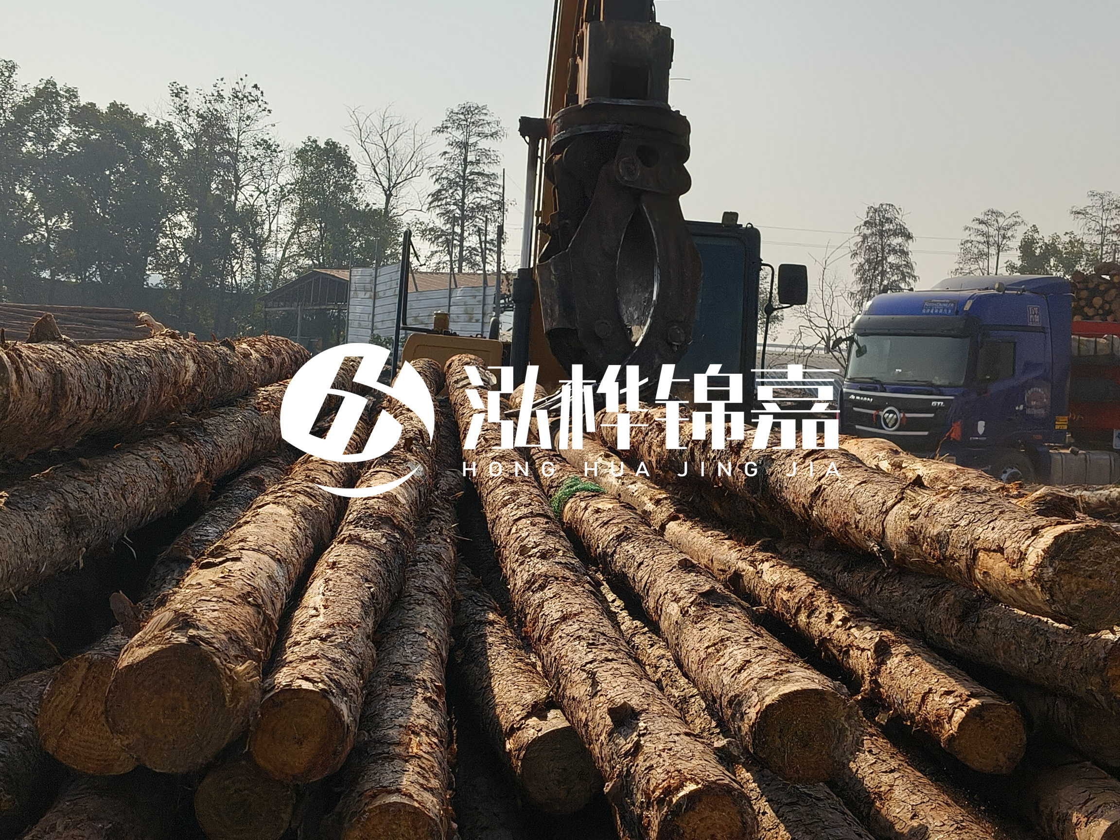 松木樁可以用來做什么？常用于哪些工程？