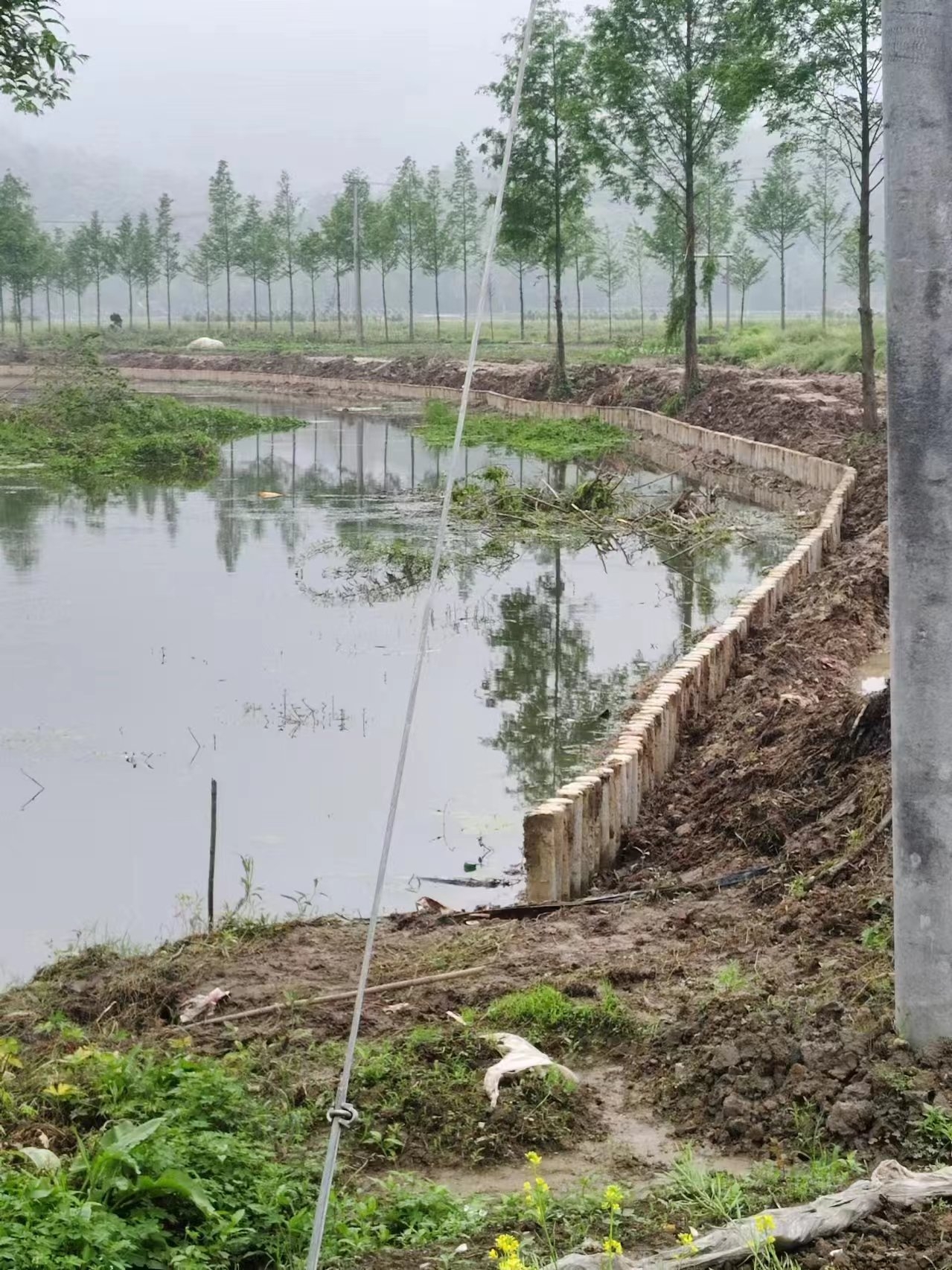 湖南水泥樁施工隊泓樺錦嘉-打水泥樁需要注意哪些事項？