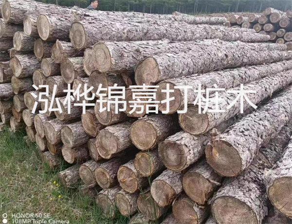 高效修補(bǔ)，保駕護(hù)航！水泥路面高強(qiáng)度修補(bǔ)料為您解決煩惱！