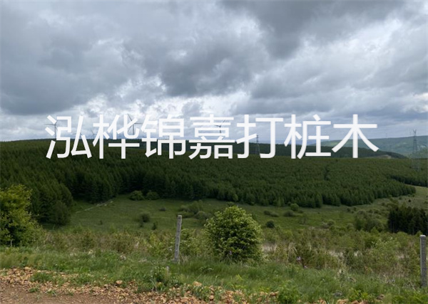 松木樁能重復(fù)施工么？