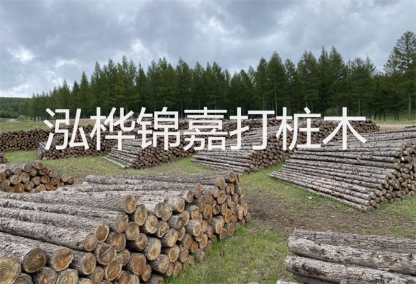 預制松木樁施工工藝：優(yōu)質(zhì)材料，高效快速，堅固耐用