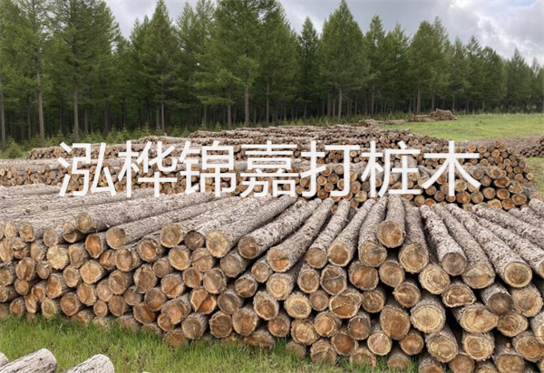 松木樁能施工嗎？探究視頻揭秘真相！