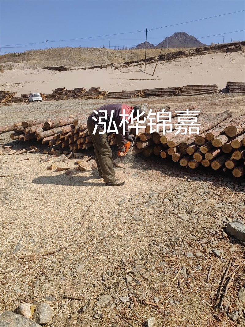 松木樁駁岸施工，打造水上風(fēng)景線