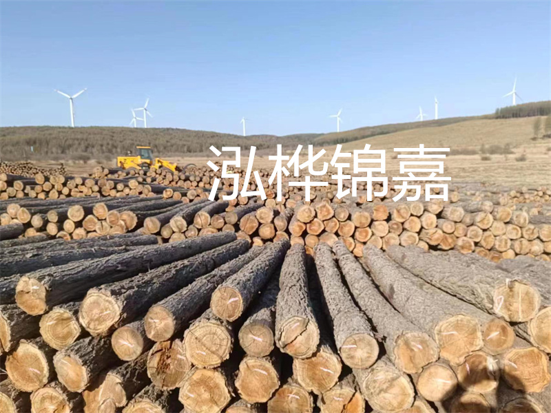 溫州松木樁施工廠家——為您打造堅固穩(wěn)定的建筑基礎(chǔ)！