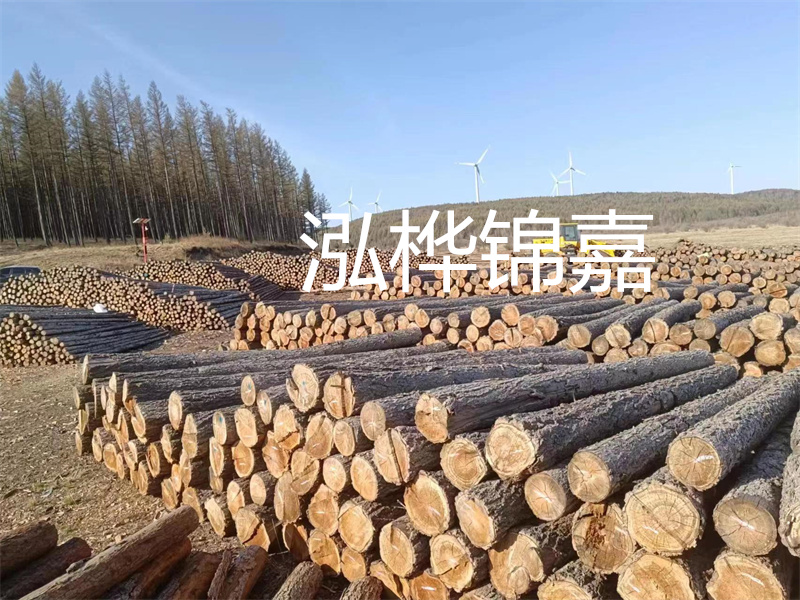 用路基松木樁施工方案提升工程質(zhì)量描述：了解路基松木樁施工方案的重要性，提高工程質(zhì)量關(guān)鍵詞：路基松木樁，施工方案，工程質(zhì)量