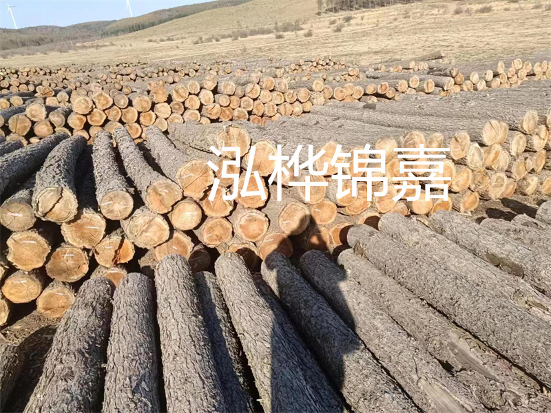 選擇合適的路緣石尺寸，打造美麗道路