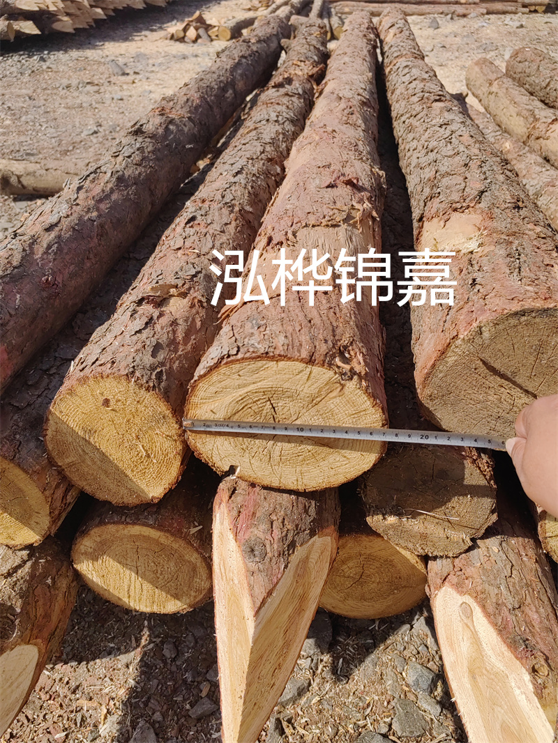 福建哪里買松木樁？