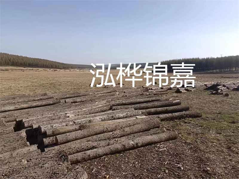 鄂州松木樁哪里好？推薦泓樺錦嘉松木樁業(yè)！